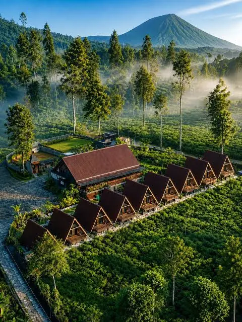 Villa berbentuk A-frame di tengah kebun teh
